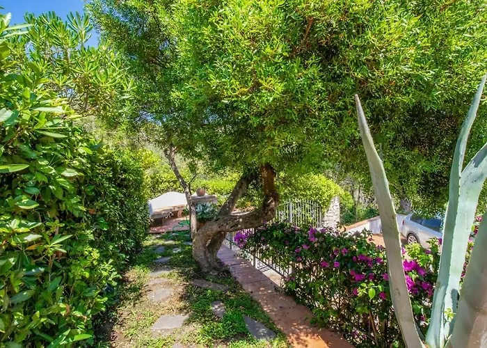 Denise Дом отдыха